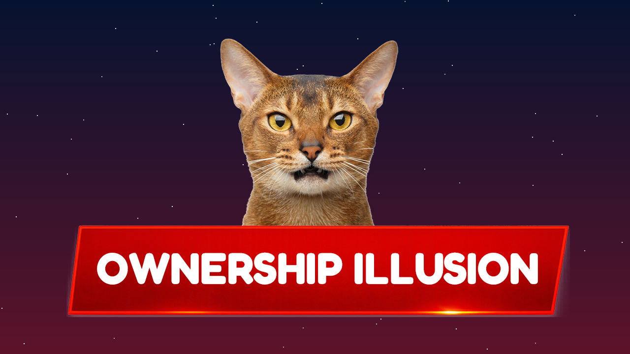 TZB Cat report thumbnail