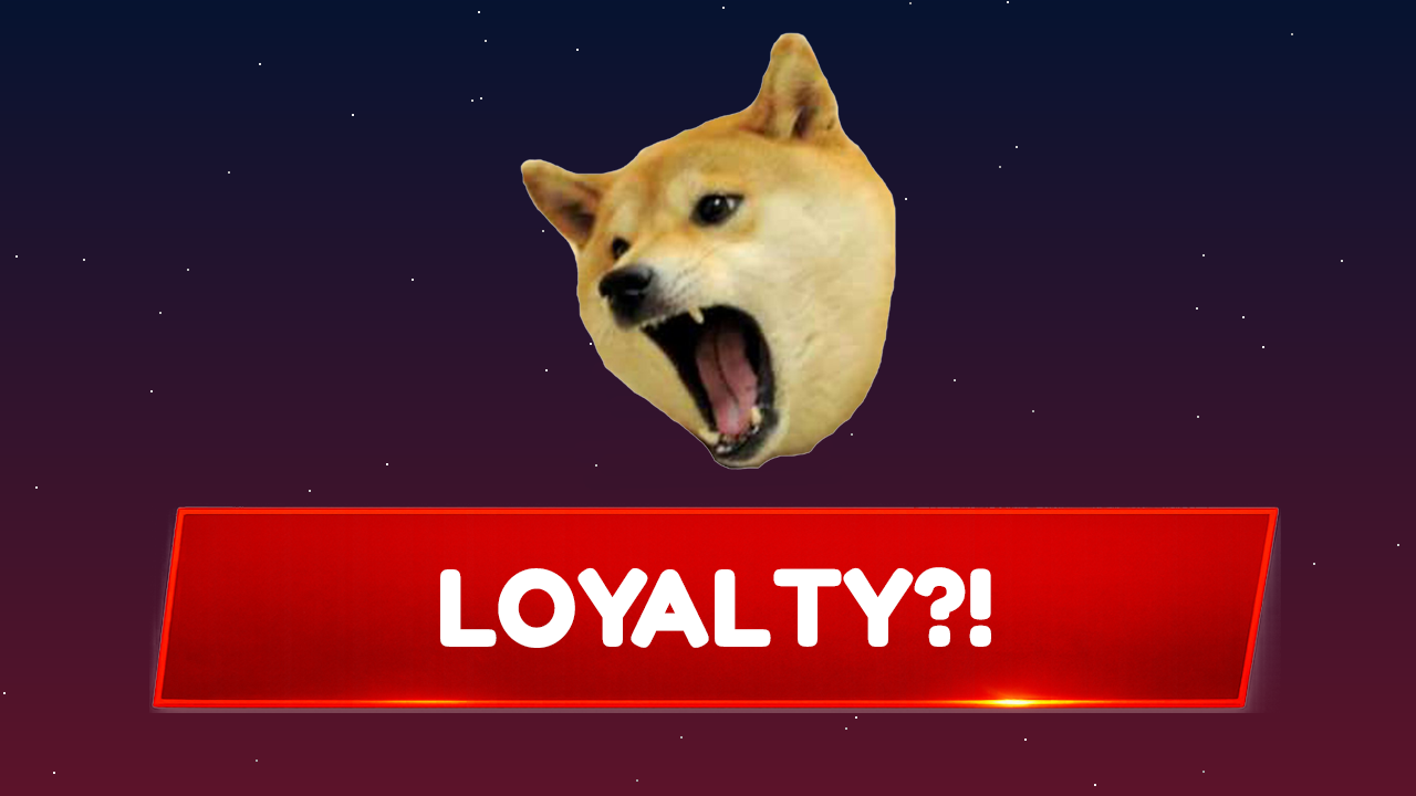 TZB Dog report thumbnail
